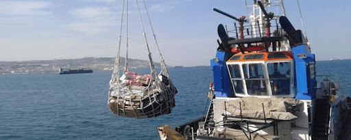 Ship Chandling